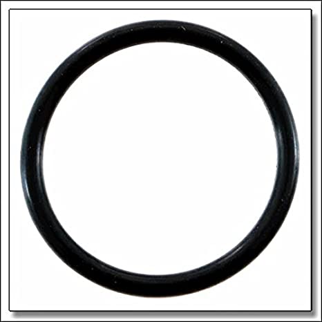 O-Ring for Tankless Water Heater Element | Element-o-ring